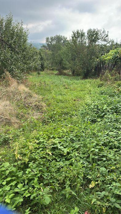 Teren 1.988 mp, intravilan + extravilan, Turcinești – Horezu, Gorj