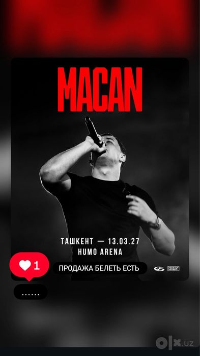 Macan fanzona belet