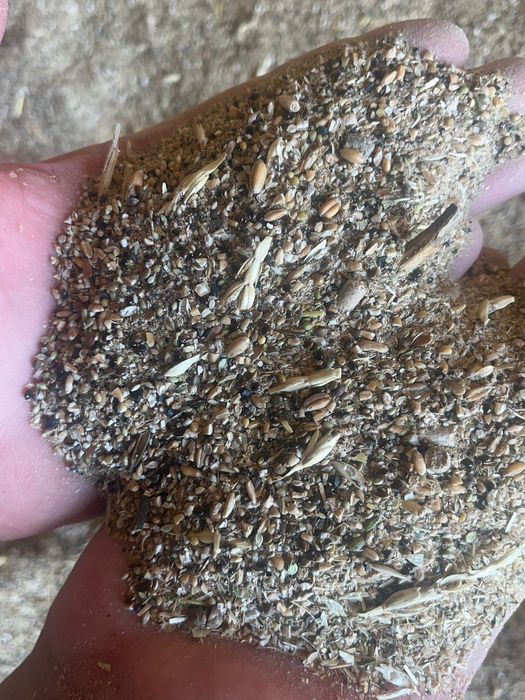 Продам зерноотходы