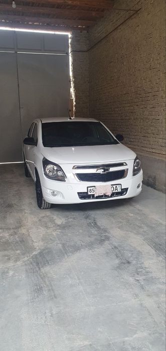 Cobalt midnight 2025