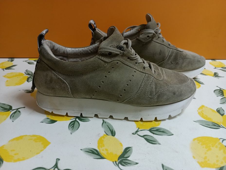 Kennel Schmenger N 39 - 32 лв