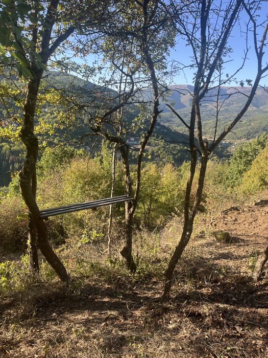 Поземлен имот с. Свидня