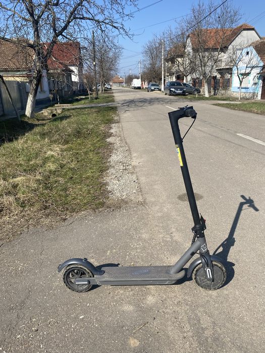 Trotineta de vanzare
