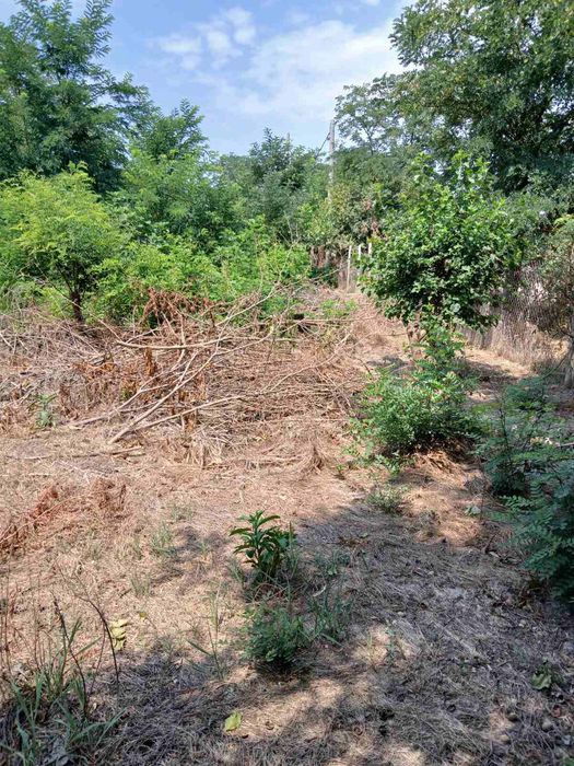 Парцел с УПИ и скица виза 2487кв.м.