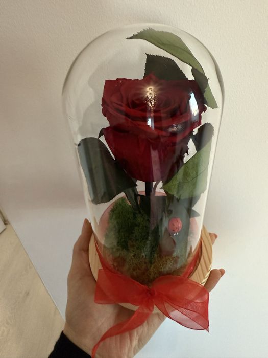 Trandafiri criogenati