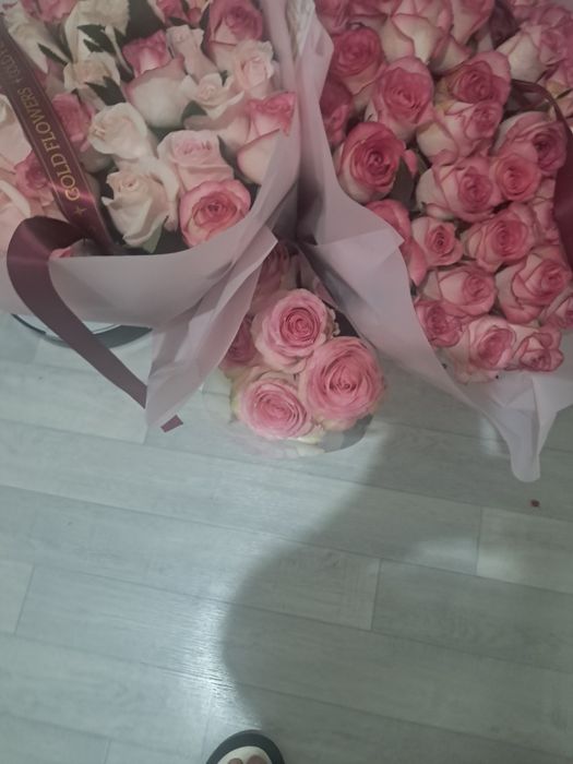 Продам цветы разные