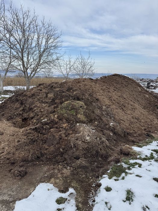 Vand gunoi de pasare