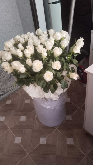 Цветы Белые Розы