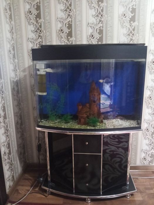 Akvarium sotiladi