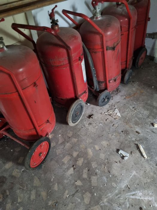 Instinctor bun pentru gratar