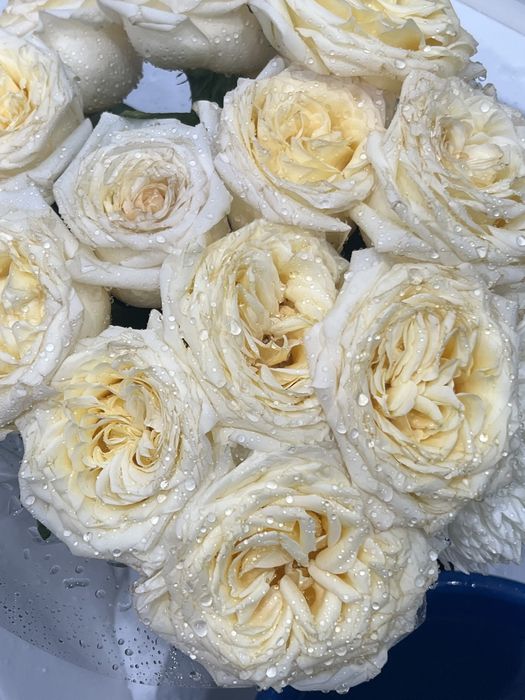 Сатылады 7000 тг