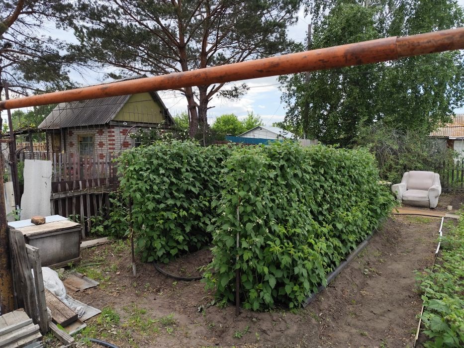 Продаётся дача СО Автомобилист