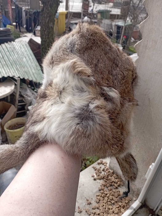 Естествен косъм шапка ушанка