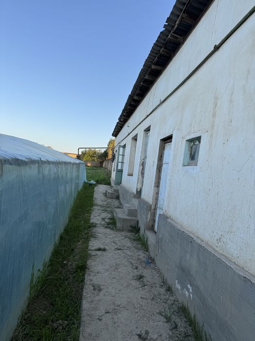 Yangiyol tumanida 65 sotix tayyor ferma va teplitsa sotiladi