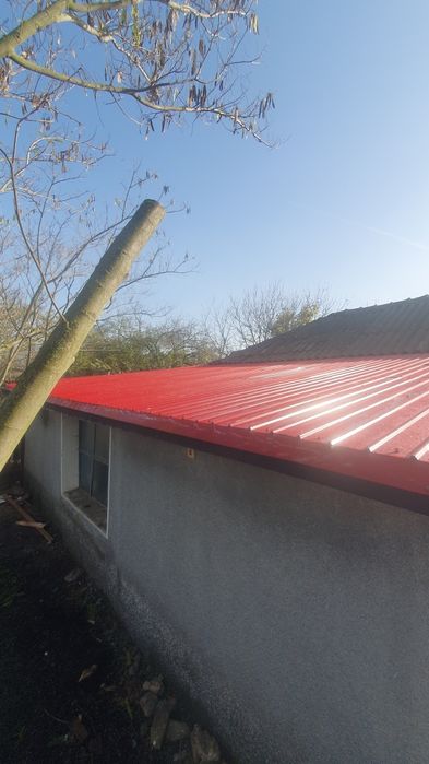 Vand casa cu teren-livada  in General Scarisoreanu
