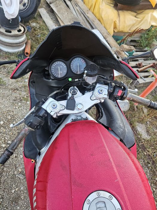 Yamaha 600 tundercat