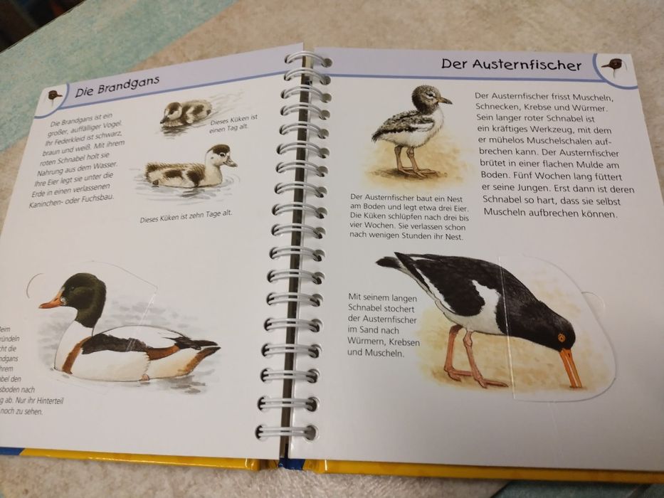 Книга енциклопедия на немски език