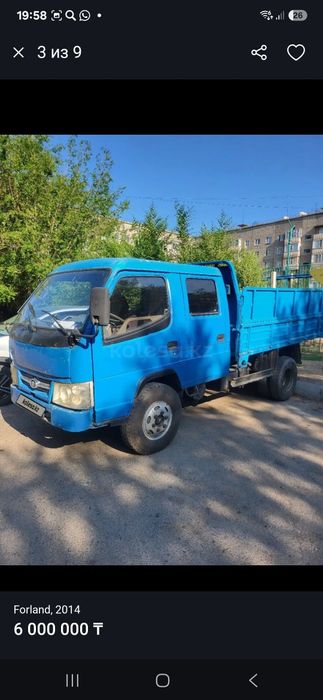 Самасвал китаец 3х тоник