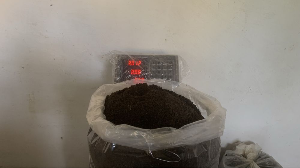 Биогумус навал холатда