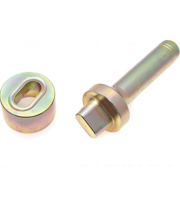 Capsator capse ovale