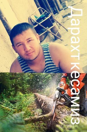 Дарахт кесиш хизмати ОБРЕЗКА деревьев