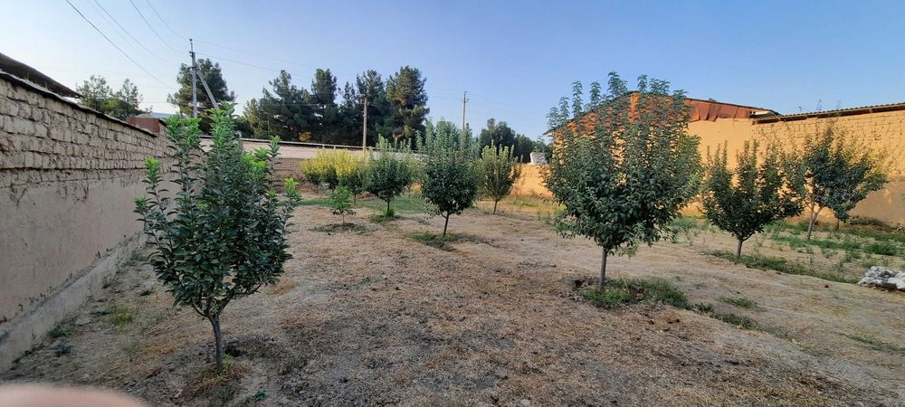 2.5 sotix yer sotiladi