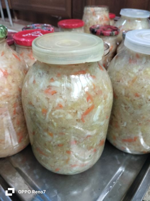 Капуста квашеная.