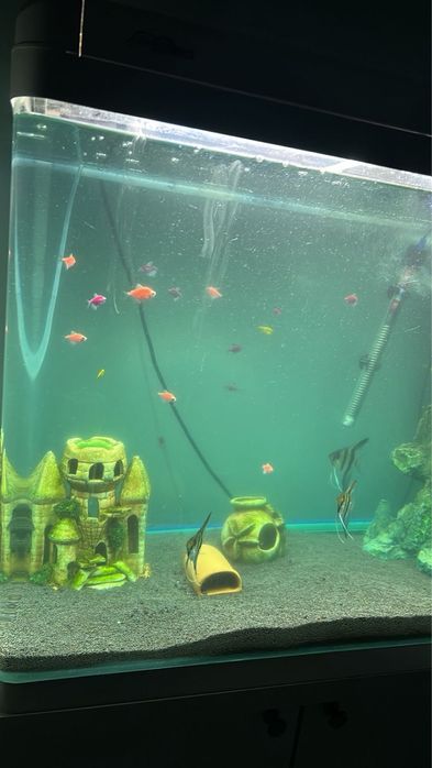 АКВАРИУМ Заводской 180л