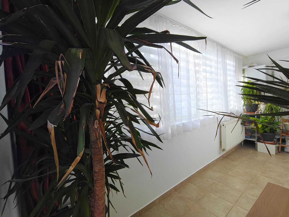 Apartament 2 camere  Colegiu National "Andrei Saguna"