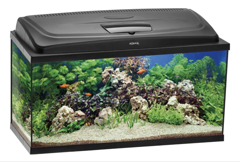 Аквариум в комплекте Aquael Aqua4start 54 л