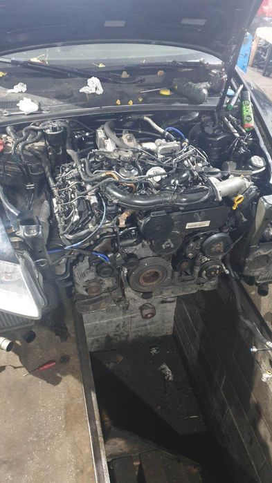 Service multimarca Timisoara