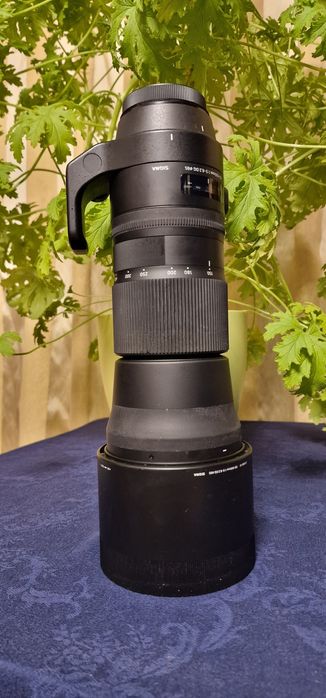 Sigma 150-600mm Contemporary, montura Canon EF