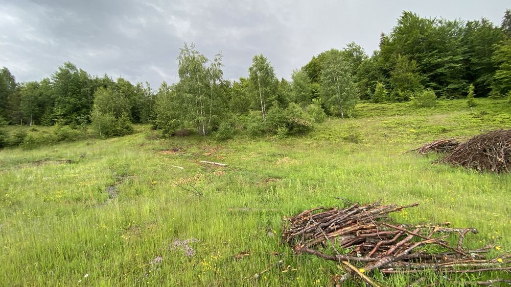 Vând teren extravilan 30.000 mp (3 ha)- Gârda de Sus, Alba