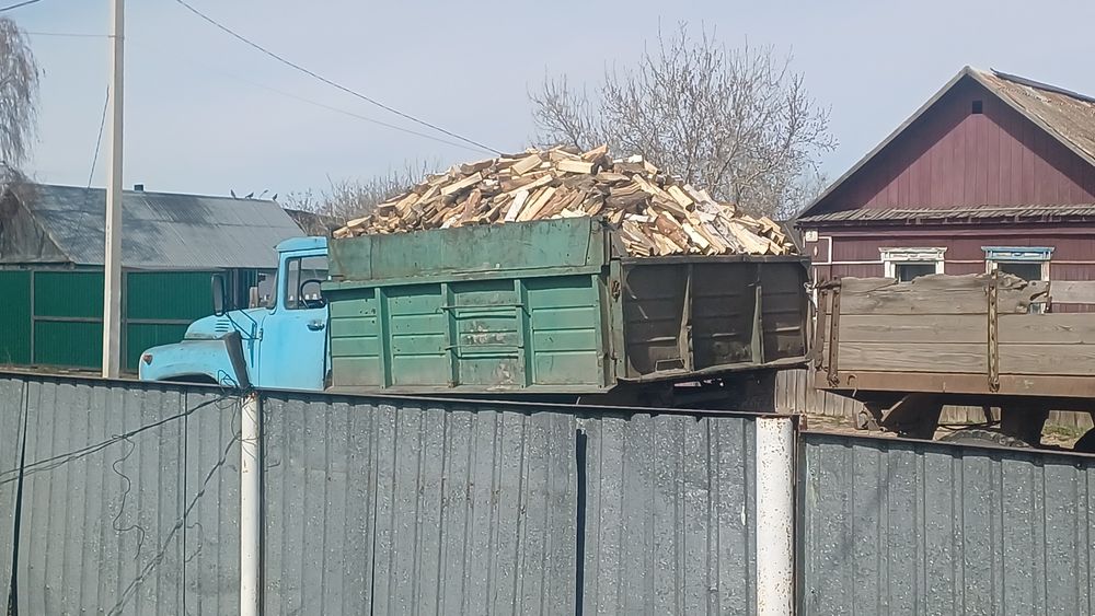 Есть рублейный береза, сосна