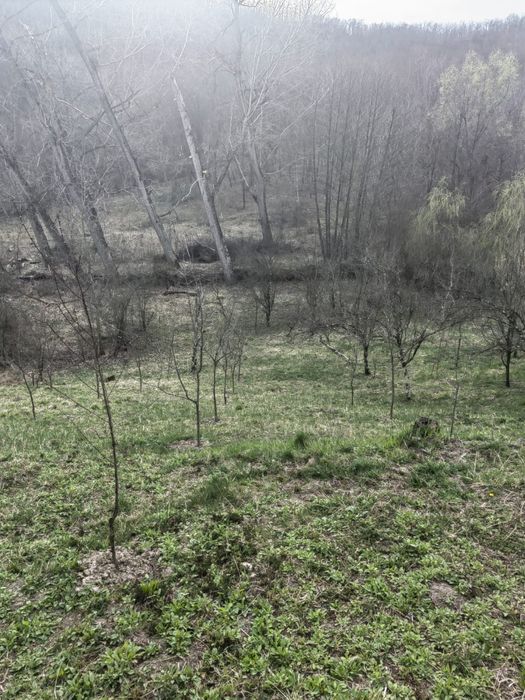 Vânzare casă pitorească, teren 2500mp