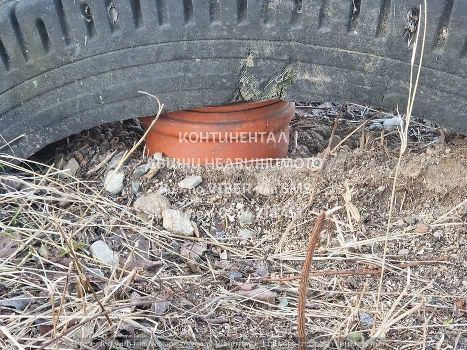 Продава се Парцел в с. Калояново, Област Пловдив - 640 кв.м за 47 €/кв.м - Снимка #5