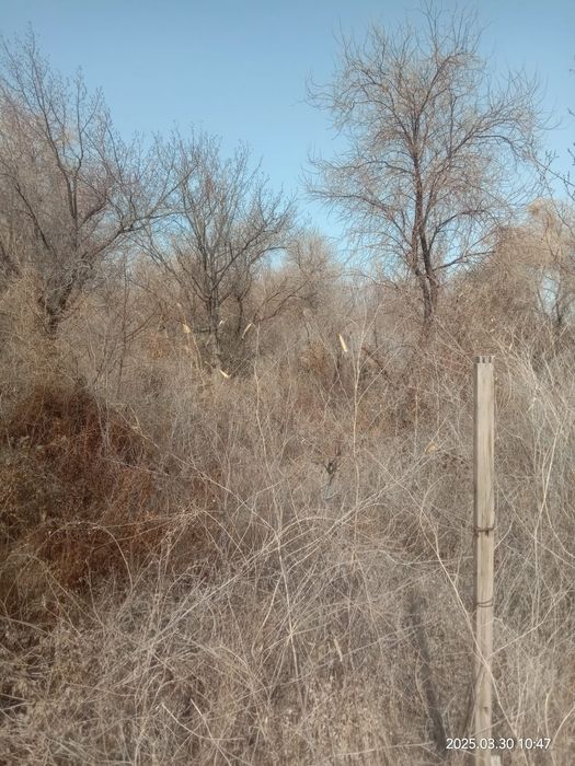 Продается дача в районе Талсуата 13 км