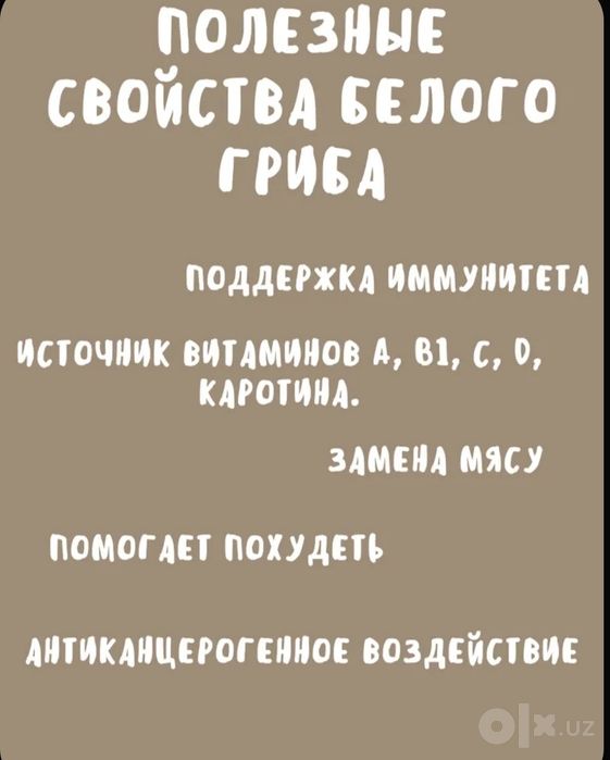 Сушеные белые грибы, 100 г, 2026, Алтай