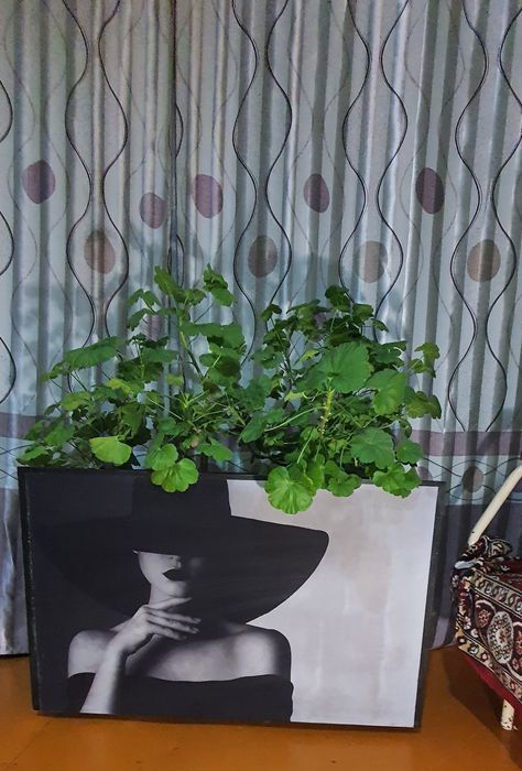 Кашпо клумбы для цветов