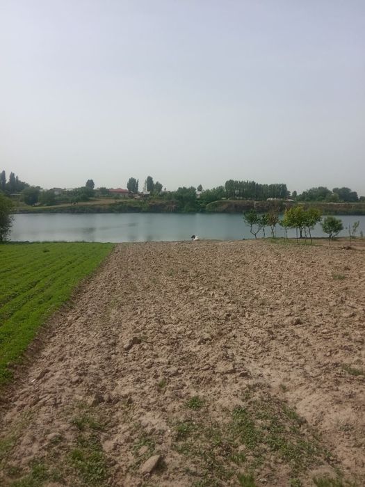 Uy dom uchastok kvartira dacha уй дом дача участок продаеться срочно!!