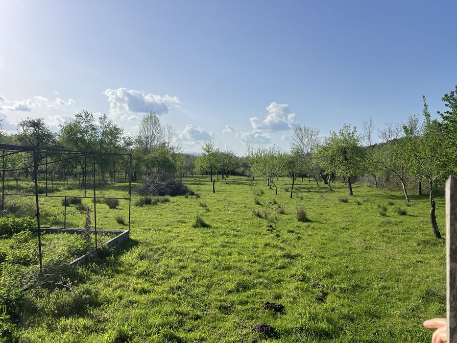 case la tara + teren de 13.000 mp