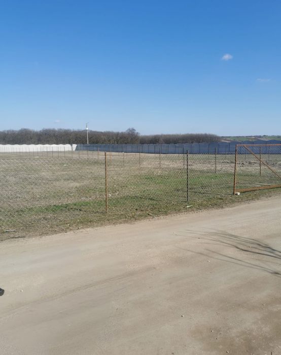 Teren intravilan 700mp - Strada Baloseni