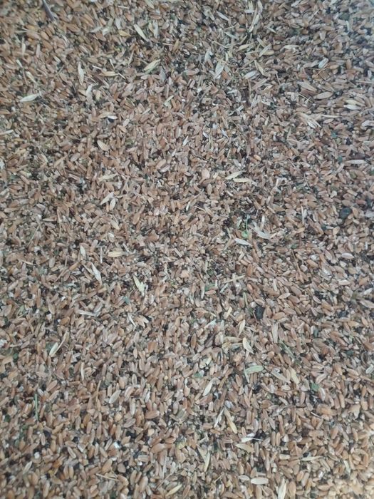 Продам  зерноотходы отруби зерносмесь  пшеница