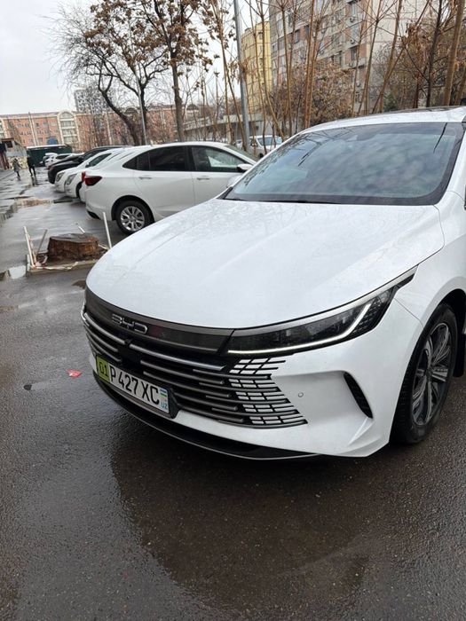 Своя BYD Chazor full