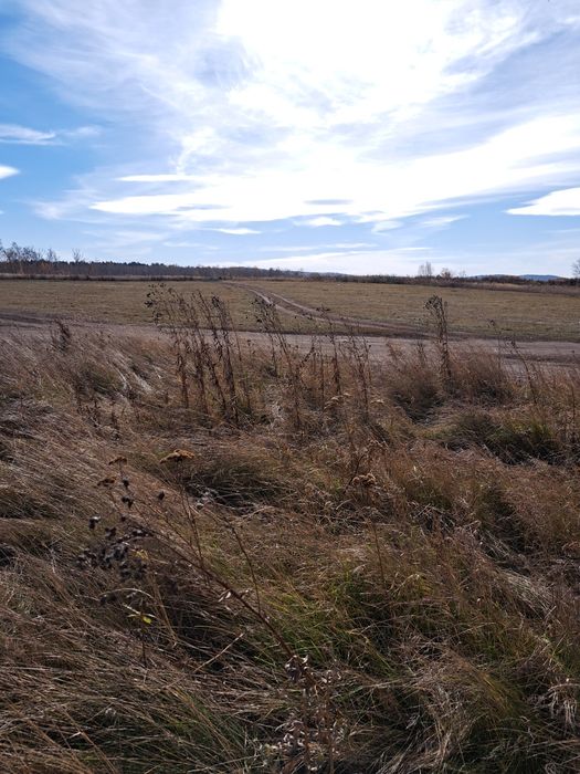 Продажа, обмен земельного участка