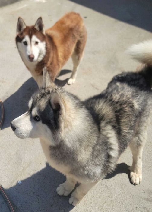 Девочка родилась 14февраля красотка с разными глазами читайте опесание