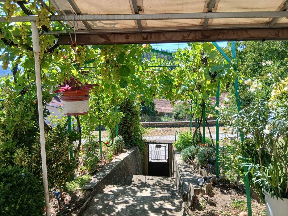 Продава се масивна двуетажна къща на центъра на село Столът.Към къщата има лятна кухня с баня и селскостопанска постройка зад къщата.