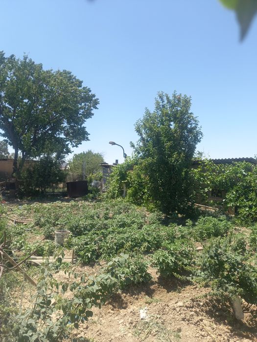 Шұбарсуда Үй сатылады