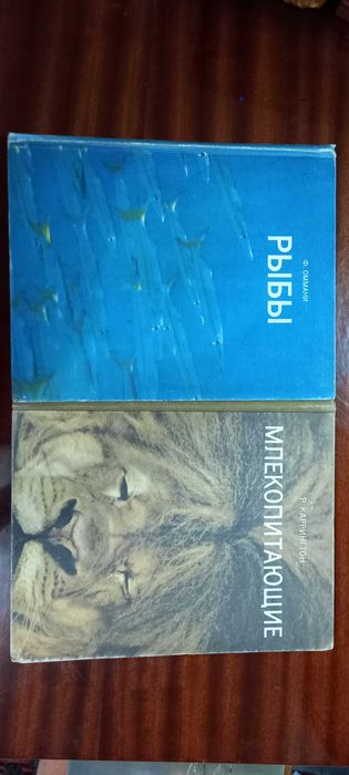 Мир природы - удивительное о животных