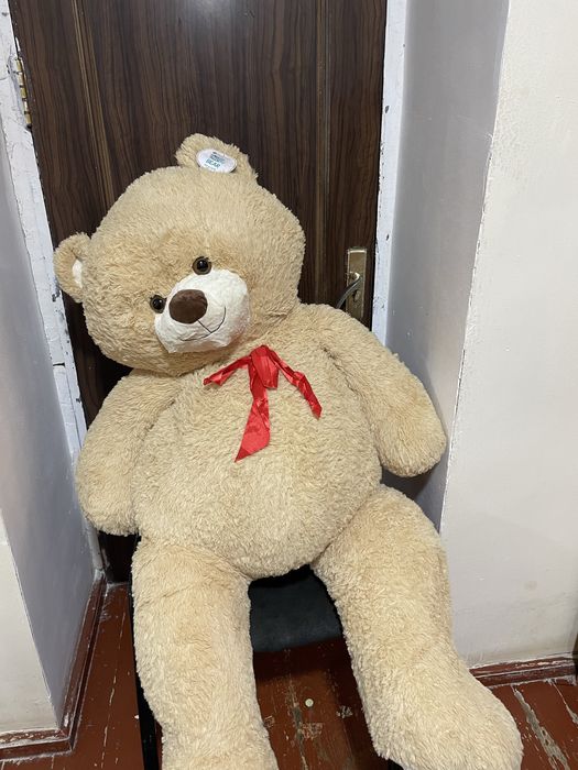 Yumshoq ayiq(teddy bear) aksiyada